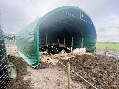 Livestock